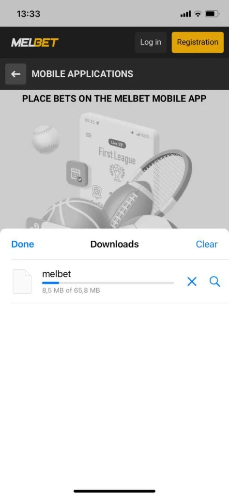 Complete the download and launch the application.