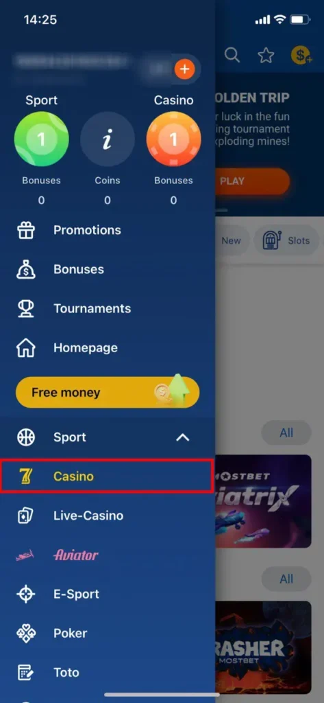 Go to the casino section.