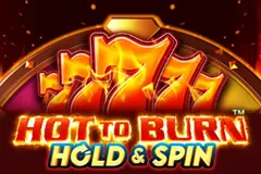 Try a game of the colourful and exciting Hot To Burn Hold And Spin Slot.