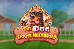 Try The Dog House Multihold slot if you love pets.