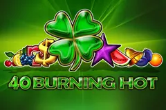 Play the 40 Burning Hot slot and get quick wins.