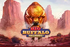 Play the thrilling Big Buffalo Megaways slot.