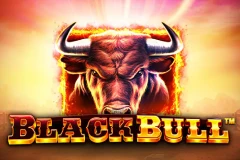 Try playing the Black Bull slot machine with premium animal symbols.