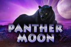 Face powerful and wild beasts in Panther Moon slot.