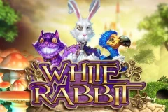Immerse yourself in the magical world of Alice in Wonderland with the White Rabbit slot machine.