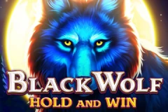 Black Wolf is an online Hold and Win slot from 3 Oaks.